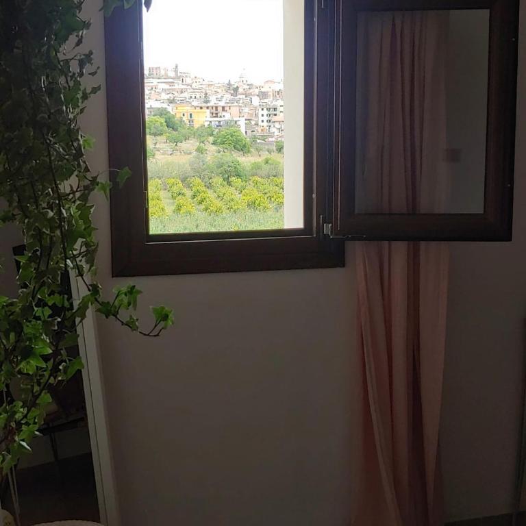 Il Primo Fiore - Casa con 4 camere da letto - 38