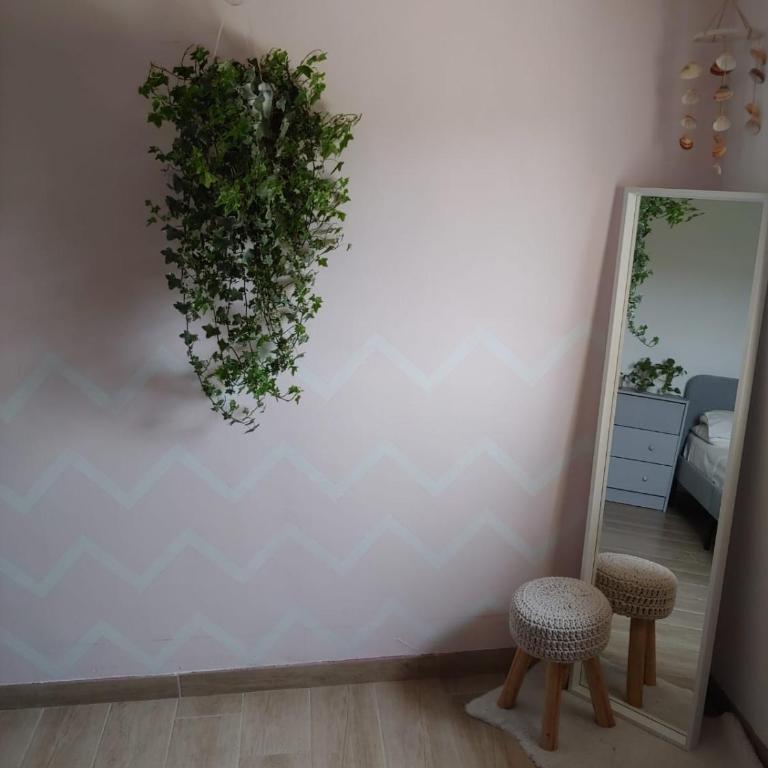 Il Primo Fiore - Casa con 4 camere da letto - 48