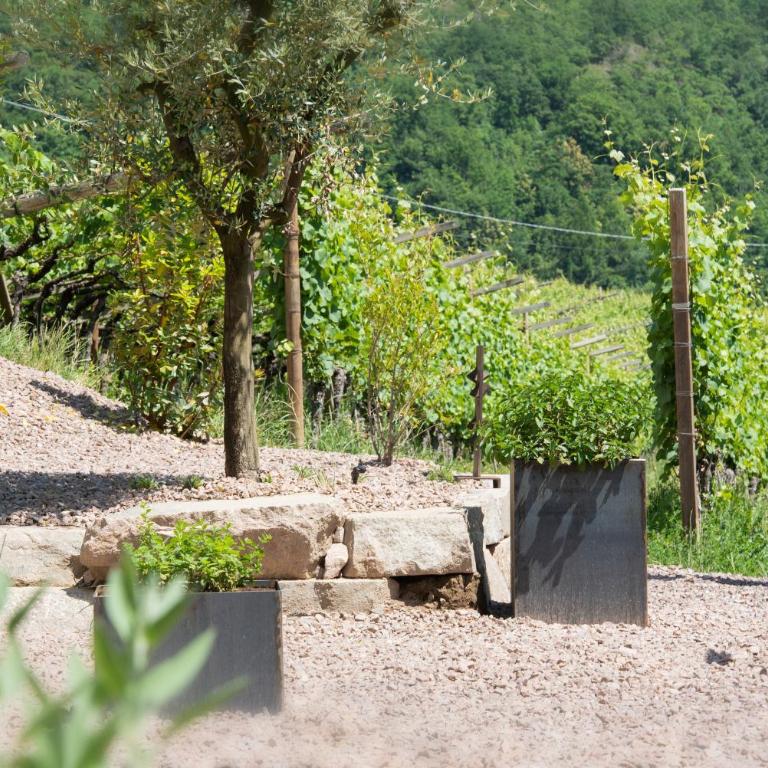Aromis - Appartamento Deluxe - 18