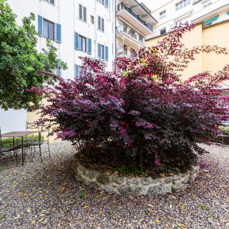 Apartments Florence - Dragomanni Loft with patio - Appartamento con 1 Camera da Letto - 2