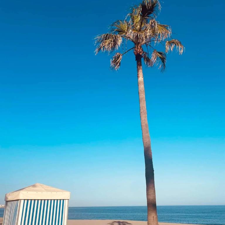 Apartamento Butibamba - Apartamento de 1 dormitorio - 32