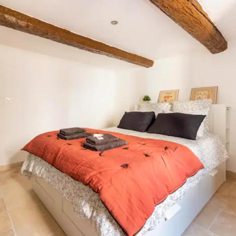 Le marronnier 3: Superbe appart au coeur de la petite venise - Appartement 1 Chambre - 13