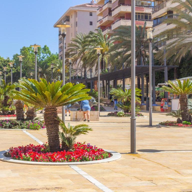 XPCE MARINO I MARBELLA - Parking Free - Apartamento de 1 dormitorio - 33
