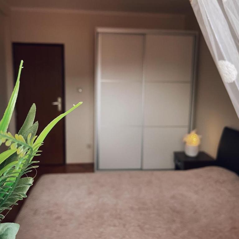 Apartman Budva Zeljka - Apartment - 20