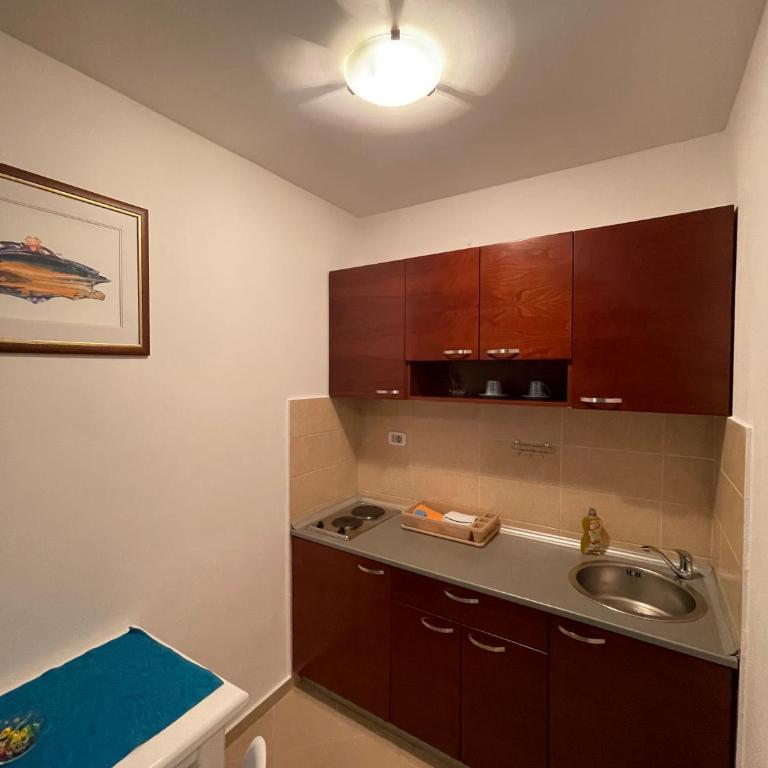 Apartments Krapina Lux - Standardni Studio - 9