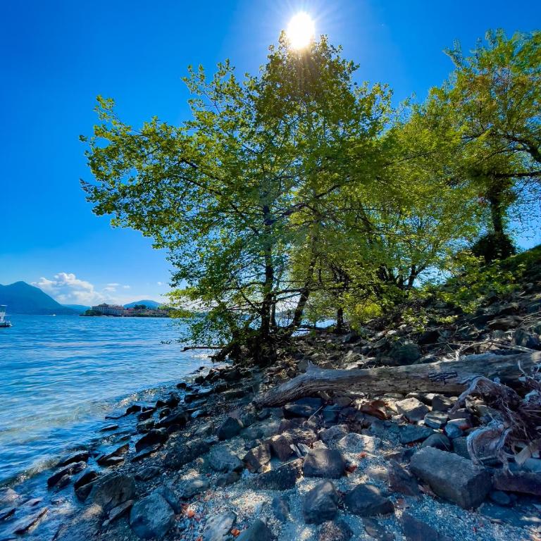 Appartamento vista Lago, giardino spiaggia a Stresa vista Isole Borromee e Golfo Borromeo - STRESAFLAT - Monolocale con Vista Lago - 16