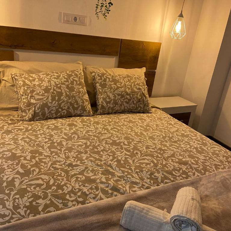 Canary apartments arava - One-Bedroom Apartment - 5