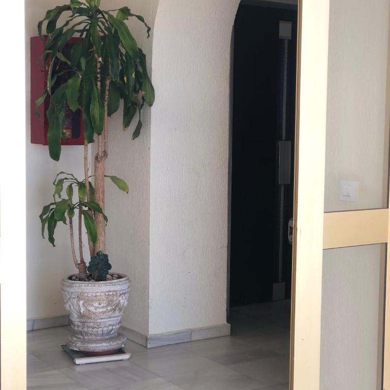 Valdelagrana vistas al mar, piscinas primera linea cadiz - Apartamento de 1 dormitorio - 43