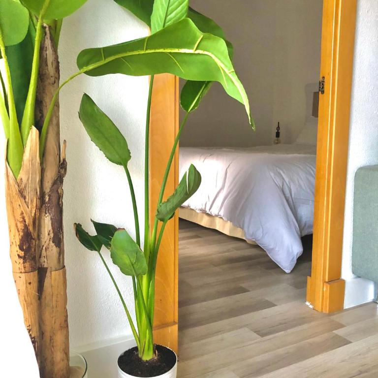 Valdelagrana vistas al mar, piscinas primera linea cadiz - Apartamento de 1 dormitorio - 20