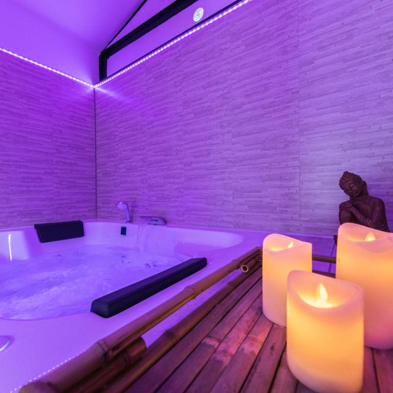 Zen & Spa - Maison Cosy - Tours - Netflix - One-Bedroom Apartment - 1