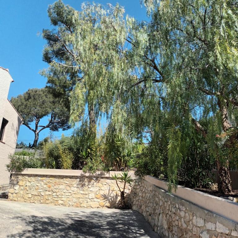 Villa Cocody - Apartment mit 2 Schlafzimmern - 16