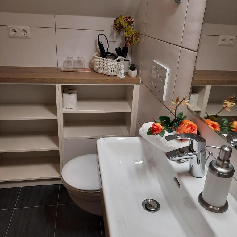 Haus Franz - Apartment mit Dusche - 8