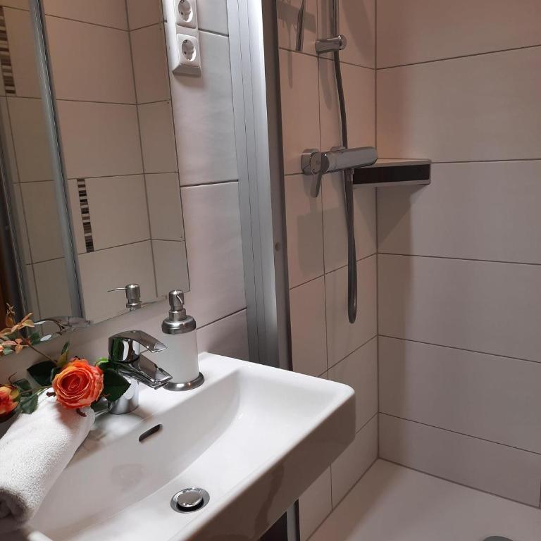 Haus Franz - Apartment mit Dusche - 11