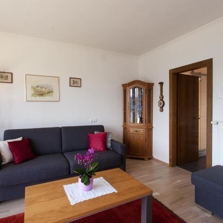 Haus Franz - Apartment mit Terrasse - 7