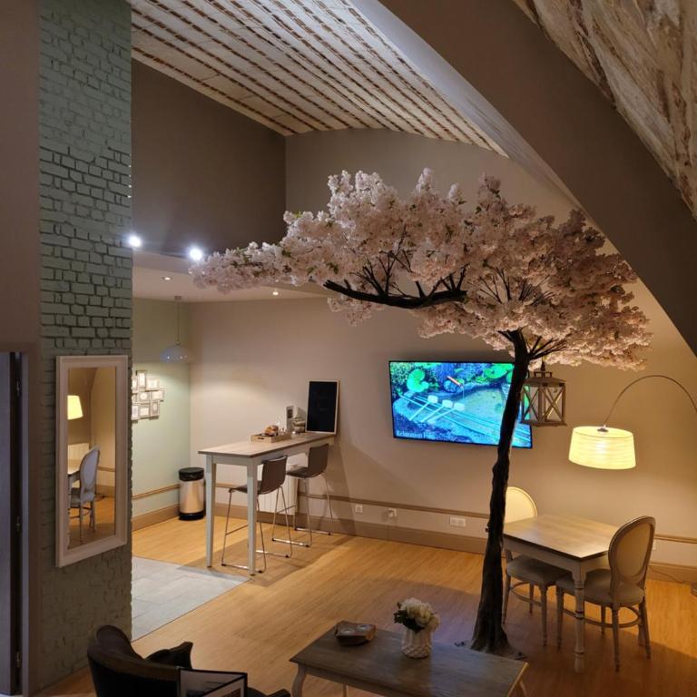 La Parenthèse Envoutée - Appartement 1 Chambre - 24