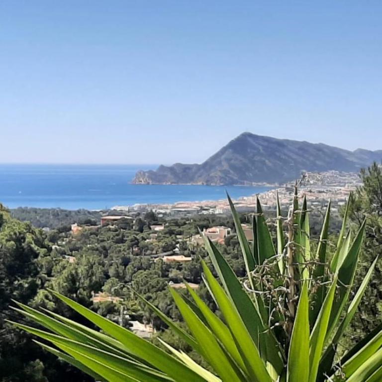 Apartamento Altea Nova - Apartamento - 27