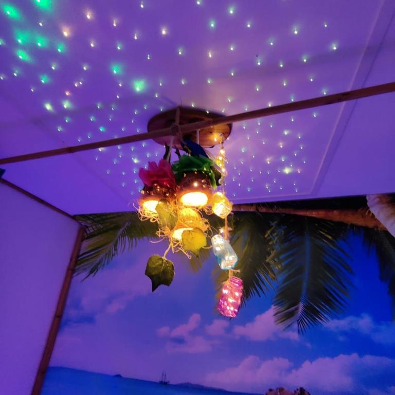 Wonder Room Paraiso Magico Habitacion - Habitación Doble Pequeña - 9