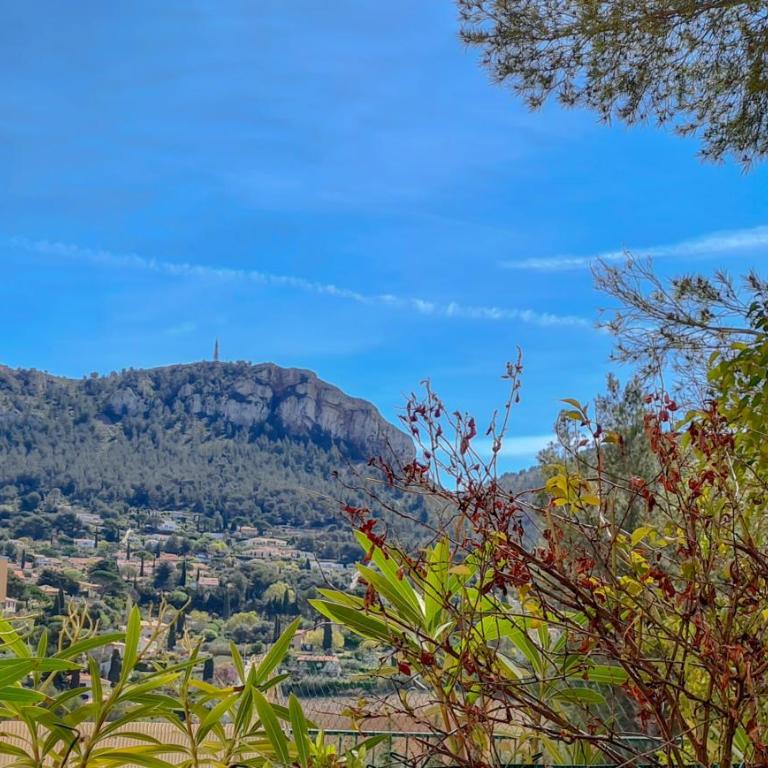 Jardin Privé ds le Centre de Cassis - Parking - Plage à 500m - Appartement 1 Chambre - 10