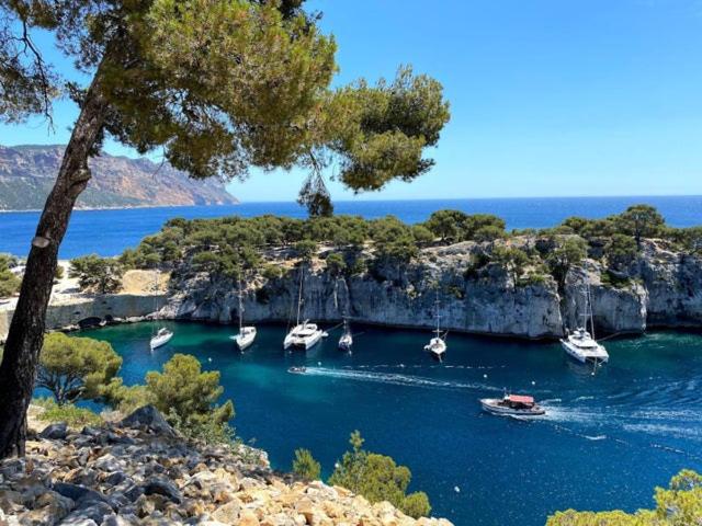 Jardin Privé ds le Centre de Cassis - Parking - Plage à 500m - Appartement 1 Chambre - 15