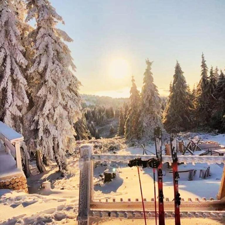 Apartman “N 17”Milmari-Kopaonik - Family Studio - 46