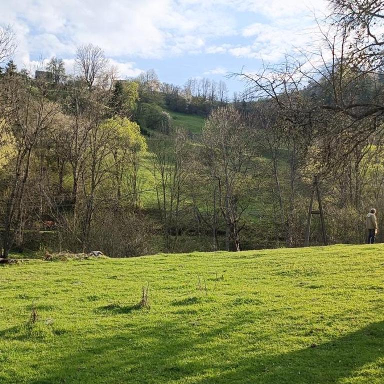 Brvnara Jahorinka - One-Bedroom House - 9