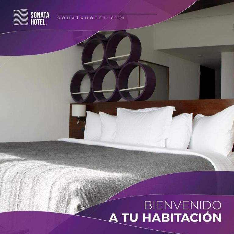 Sonata Hotel Puebla Angelópolis Distrito Sonata - Suite Estándar - 1