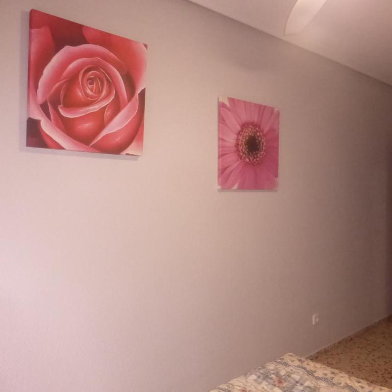 VACACIONES TIERRA Y MAR - Apartamento de 3 dormitorios - 48