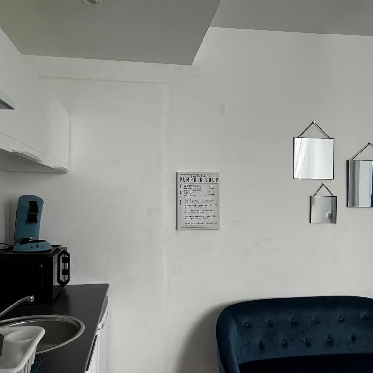 Charmant T1 Bis proche Gare et Centre Ville - Appartement 1 Chambre - 20