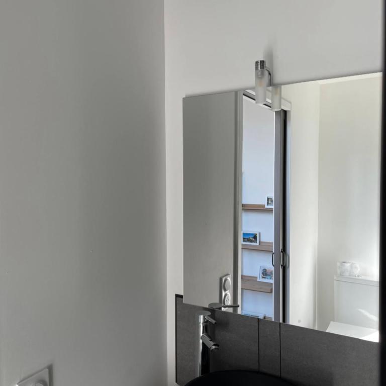 Charmant Studio proche Centre Ville et Gare - Apartment mit 1 Schlafzimmer - 21