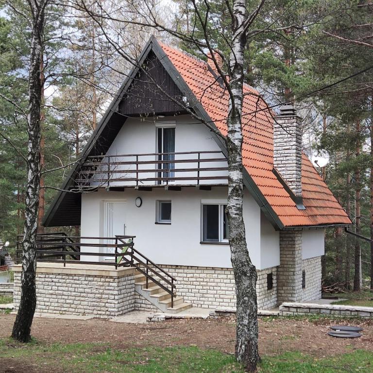 PLANINSKA VILA SMIGIC - Kuća sa 2 Spavaće Sobe - 5