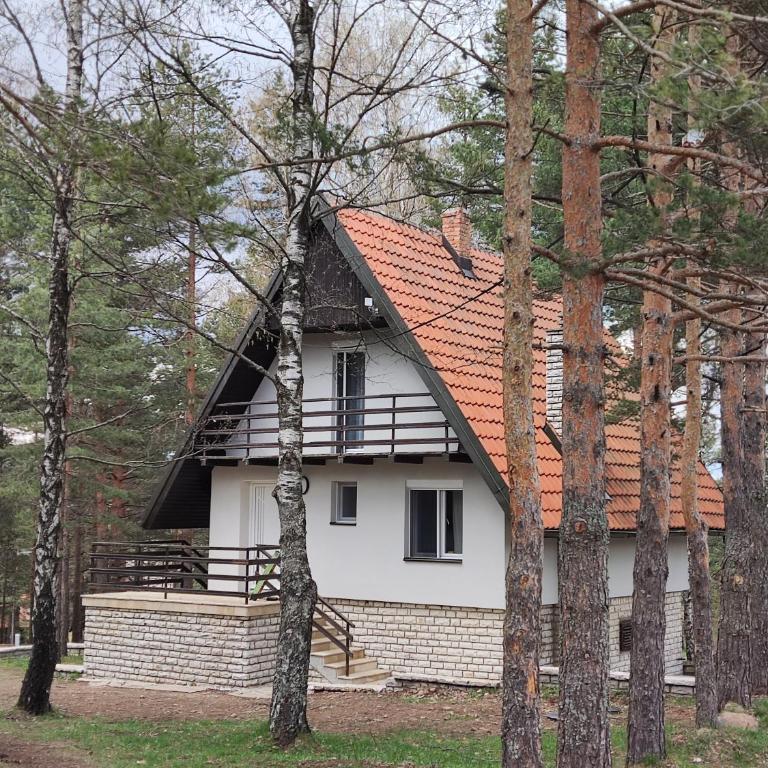 PLANINSKA VILA SMIGIC - Kuća sa 2 Spavaće Sobe - 4