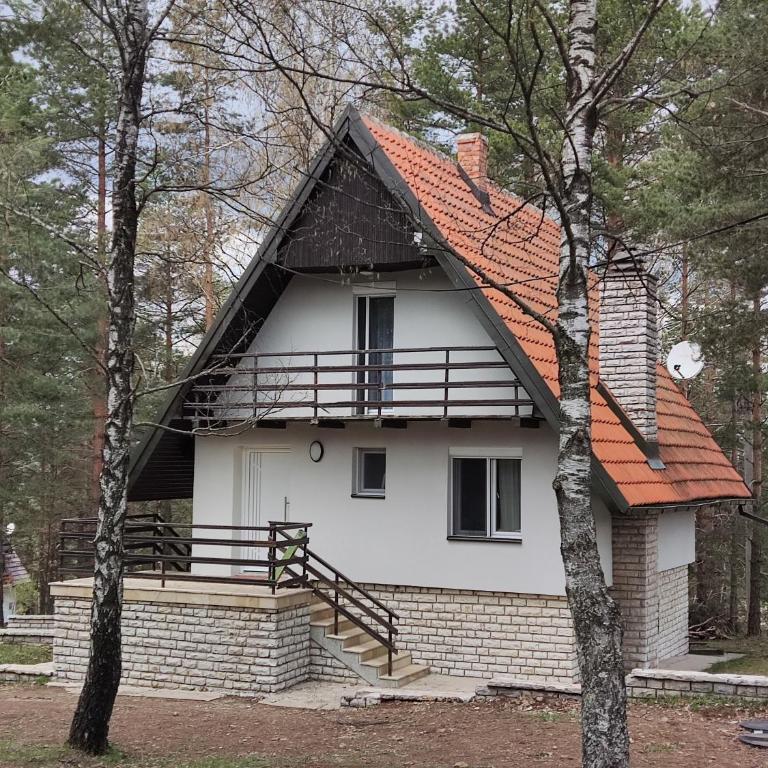 PLANINSKA VILA SMIGIC - Kuća sa 2 Spavaće Sobe - 1