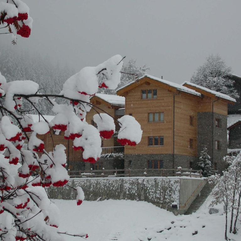 Swissalpschalet 4-5 Check also our new home Swissalpschalet 6 PRO - Apartment - 16