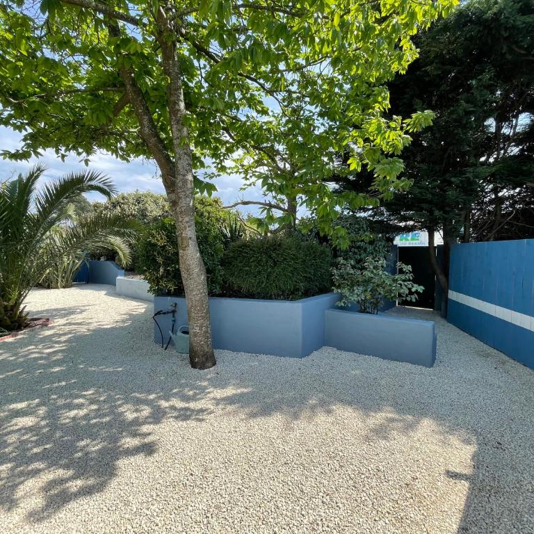 Le banc d'Arguin - Maison 1 Chambre - 1