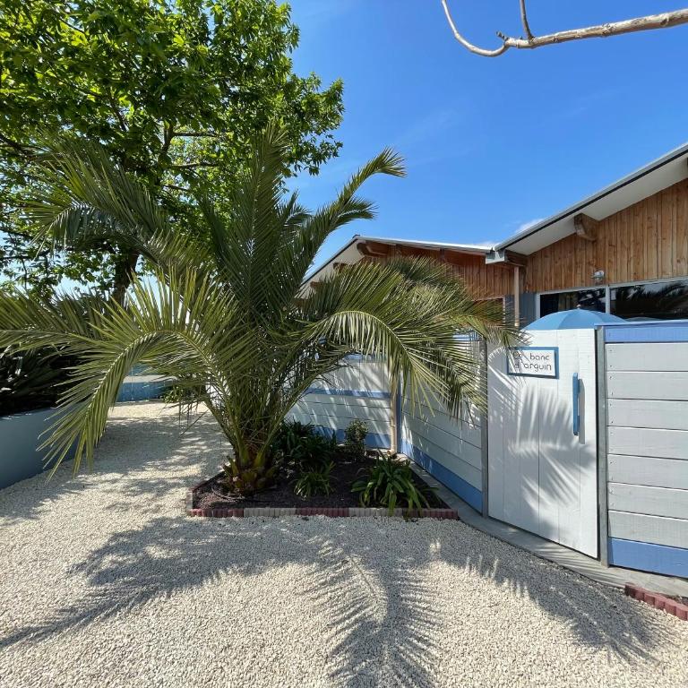 Le banc d'Arguin - Maison 1 Chambre - 11