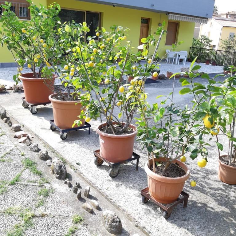 Casa Gli Ulivi - Casa con 2 Camere da Letto - 33