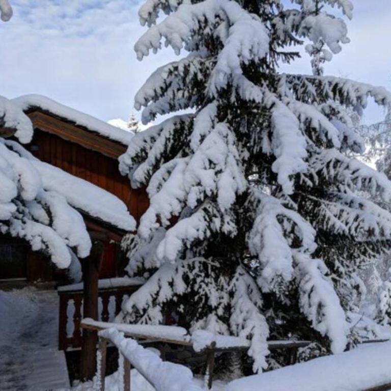 Chalet privatif pour 8 personnes aux Coches - Paradiski - Chalet - 12