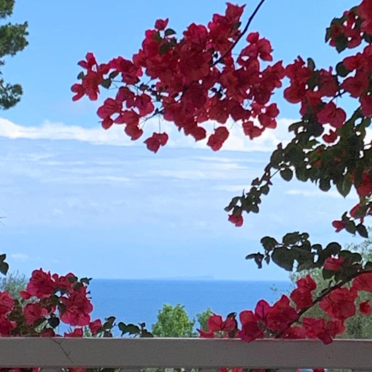 Villa Mare Tra Cielo e Mare - Villa con Vista Mare - 32