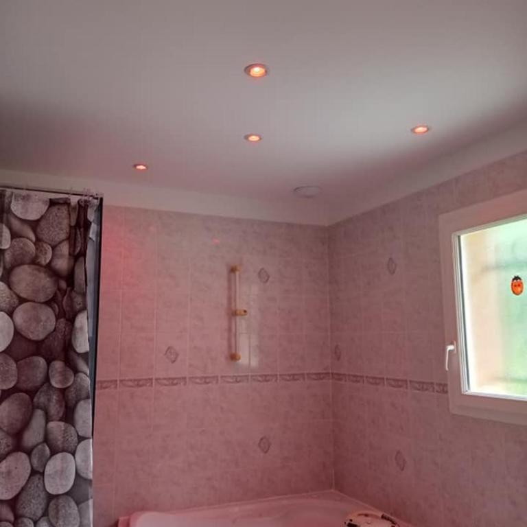 APPARTEMENT LE DOMAINE DES LIBELLULES PROCHE WALIBI - Appartement 1 Chambre - 13