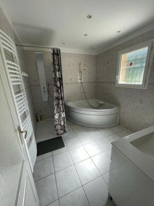 APPARTEMENT LE DOMAINE DES LIBELLULES PROCHE WALIBI - Appartement 1 Chambre - 10