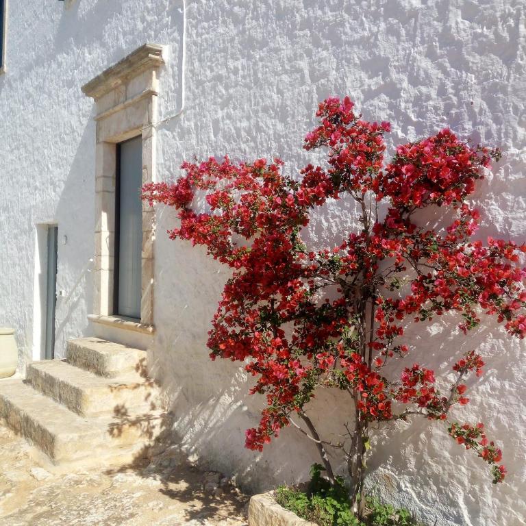 Masserie Maresca - Three-Bedroom Apartment - 2