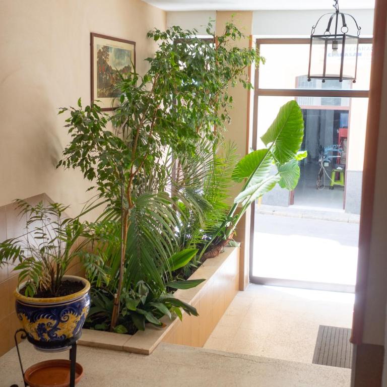 Sunflowers - Apartamento de 3 dormitorios - 39