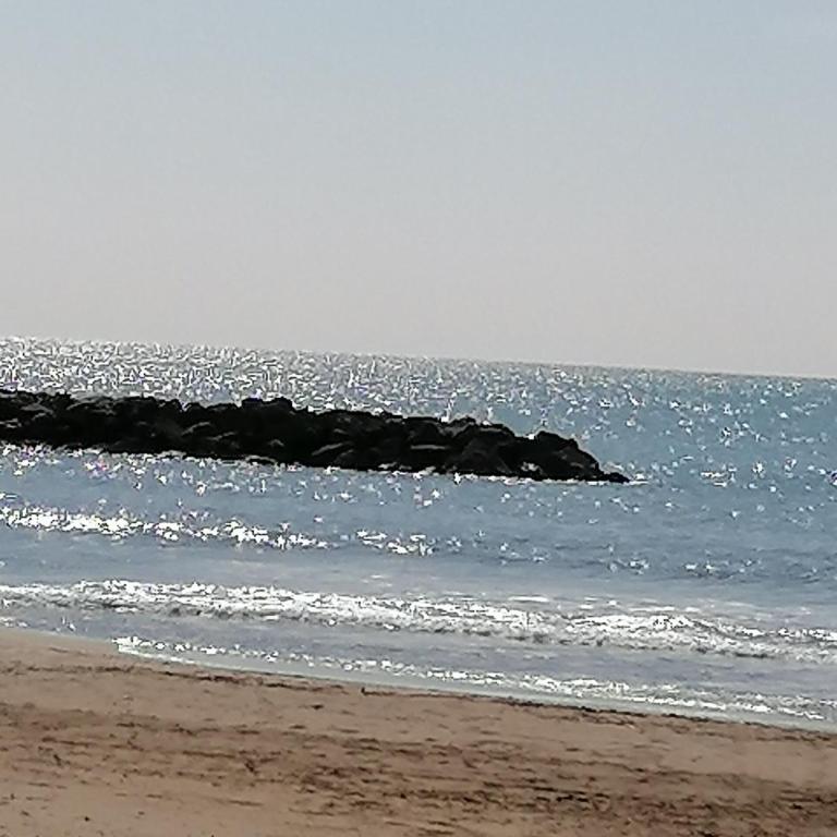 Studio cabine valras plage 300m de la mer - One-Bedroom Apartment - 4