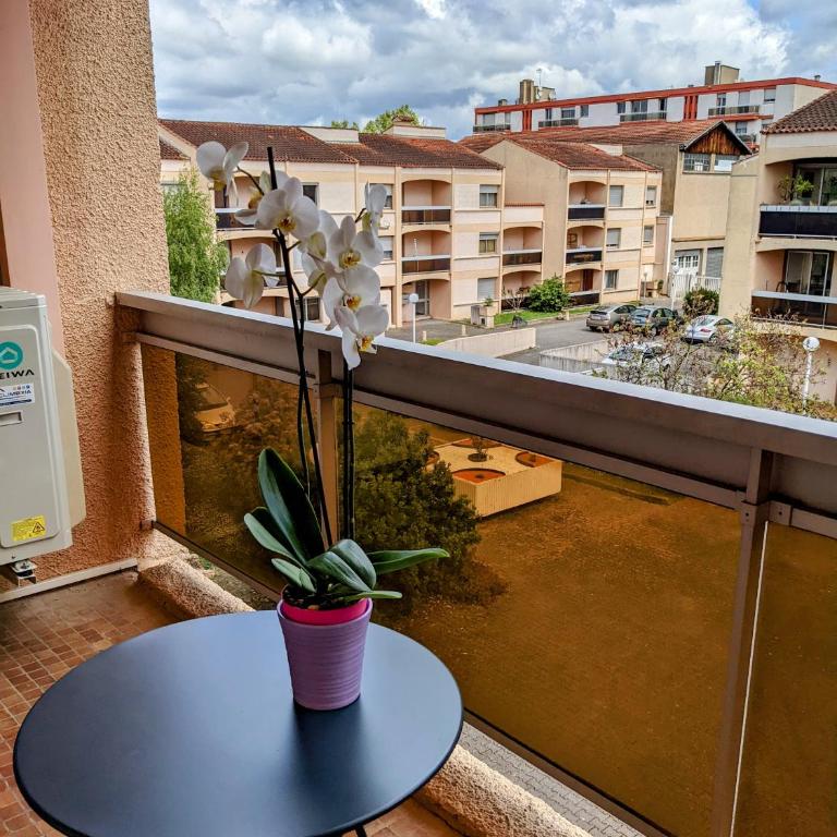 Le Champollion - Clim - Gare - Garage - Balcon - Apartment mit 2 Schlafzimmern - 9