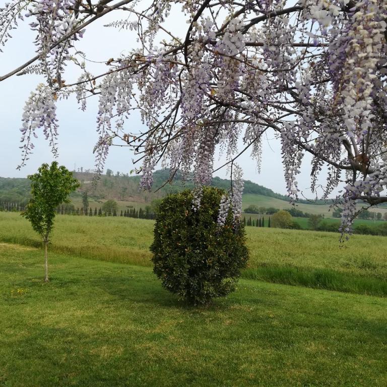La Locanda Dell'olmo - Appartamento - Piano Terra - 8