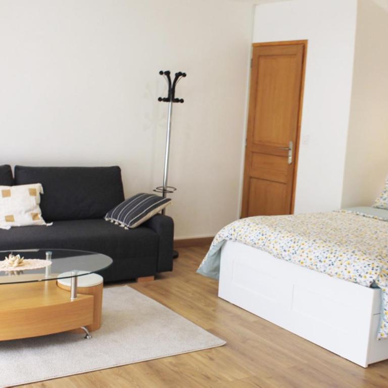 Saint Etienne : appartement Châteaucreux 40 M2 - Appartement 1 Chambre - 8