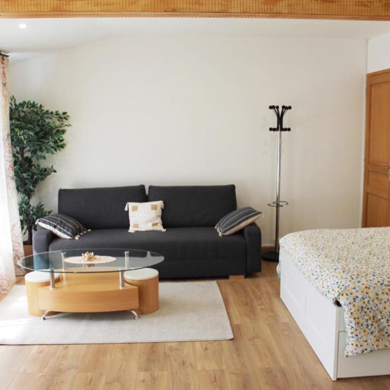 Saint Etienne : appartement Châteaucreux 40 M2 - Appartement 1 Chambre - 9