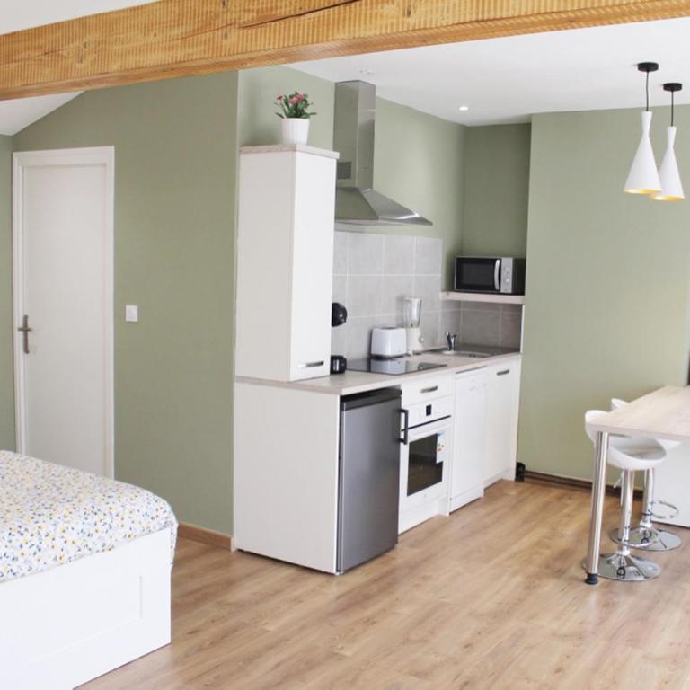 Saint Etienne : appartement Châteaucreux 40 M2 - Appartement 1 Chambre - 12