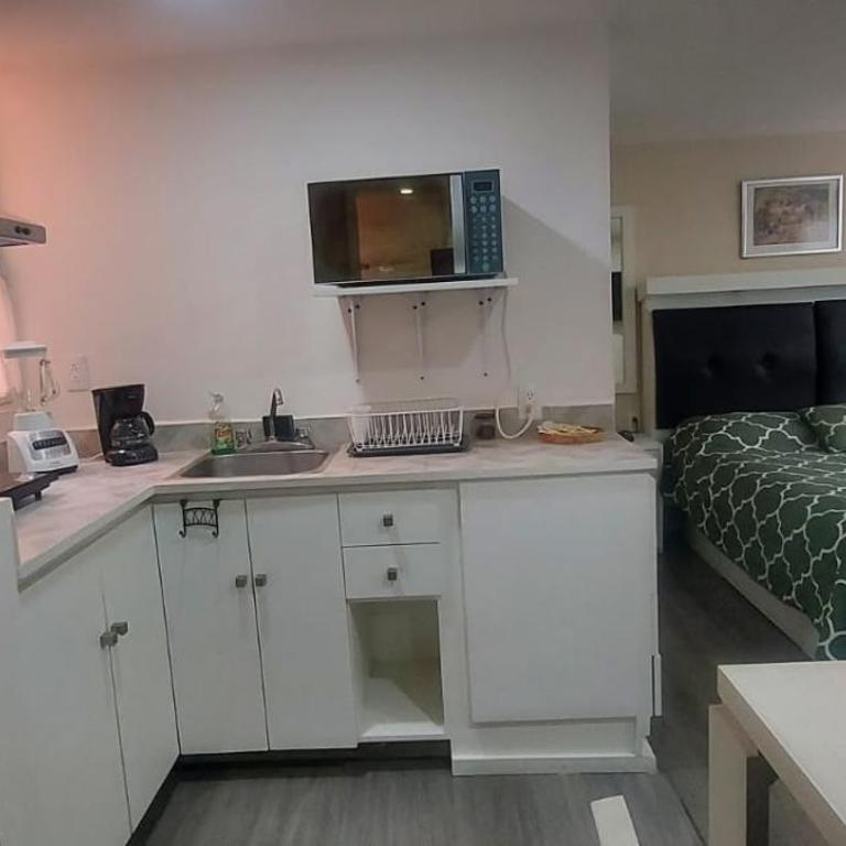 Lovely loft at the business heart of Mexico City - One-Bedroom Apartment - 13