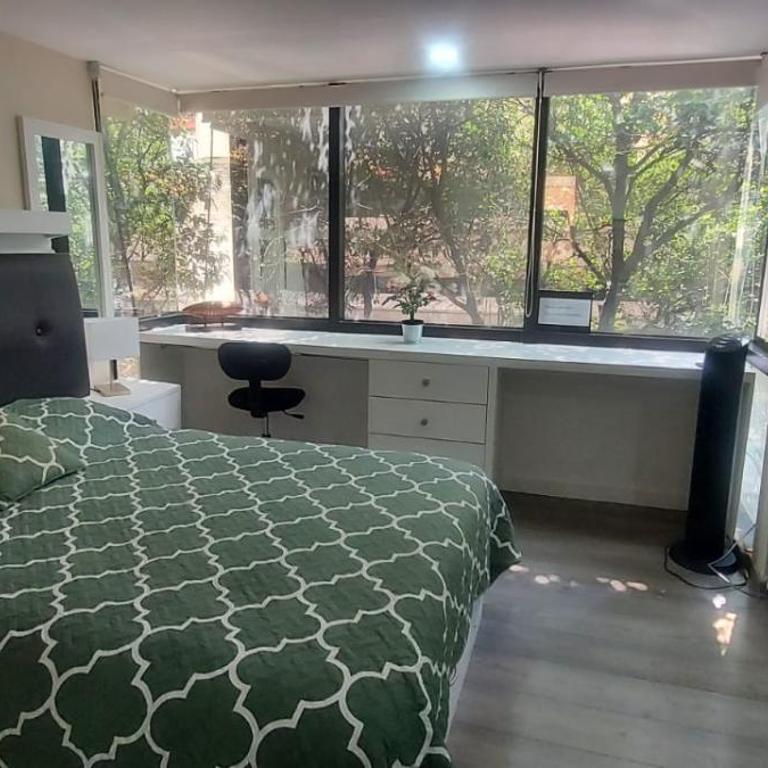 Lovely loft at the business heart of Mexico City - One-Bedroom Apartment - 1